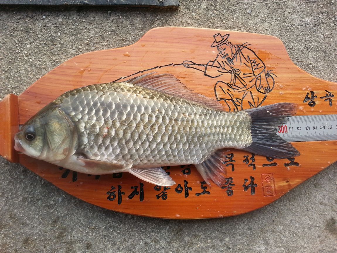 20141108_161223.jpg