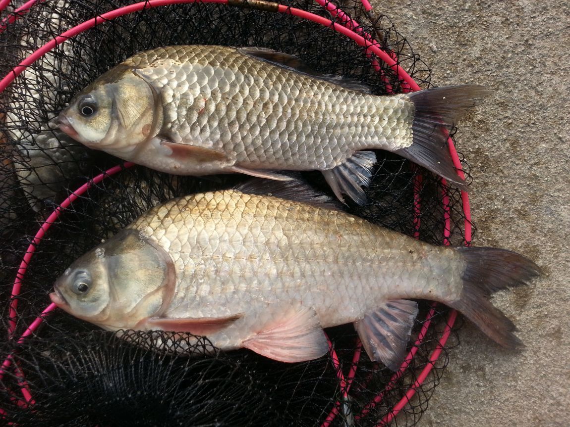 20141108_161232.jpg