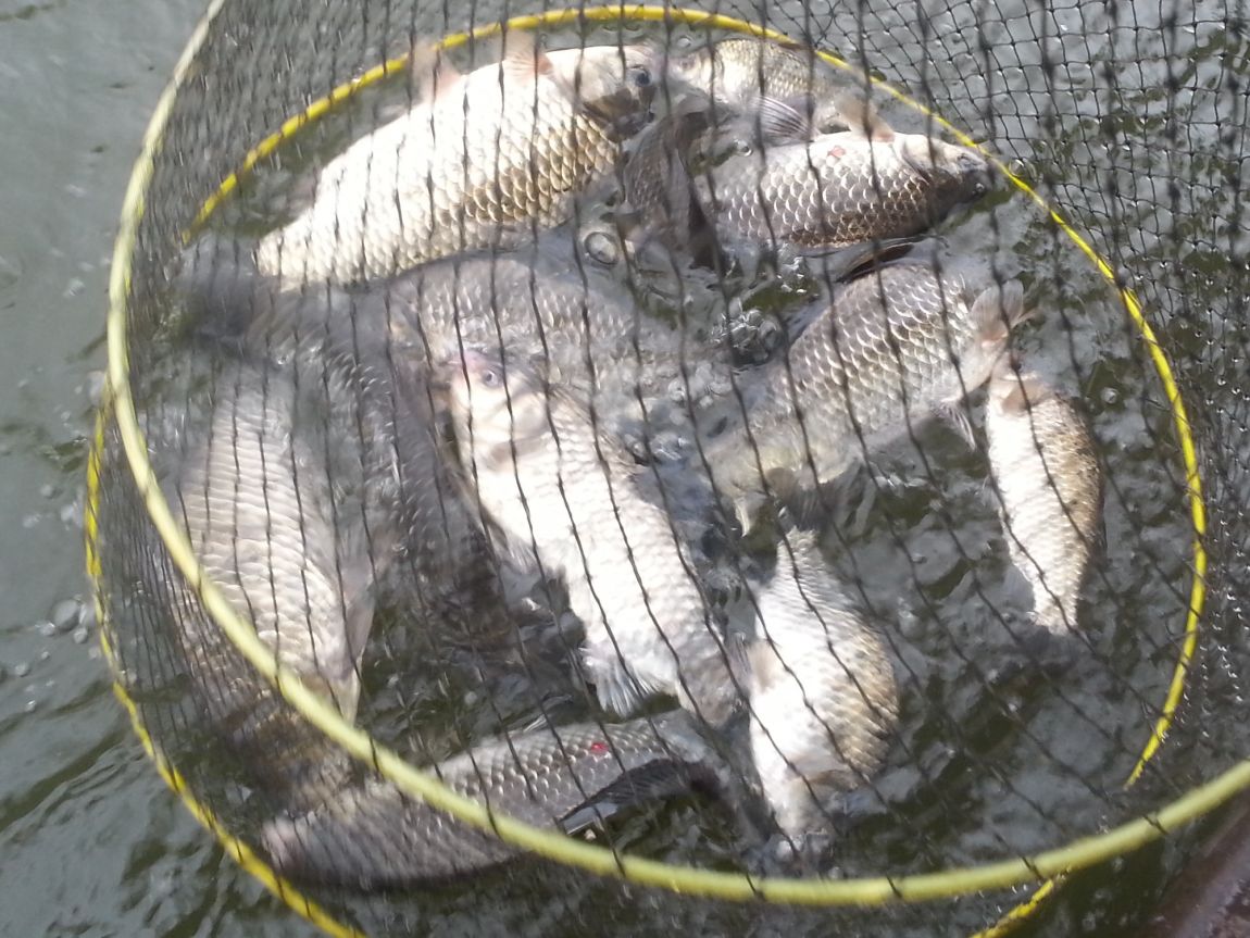 20141101_104732.jpg