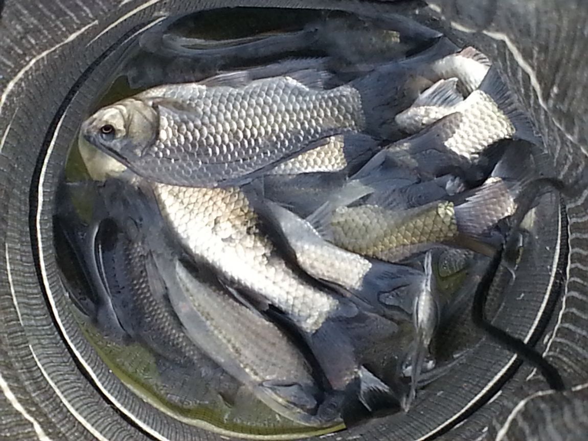 20141111_141343.jpg