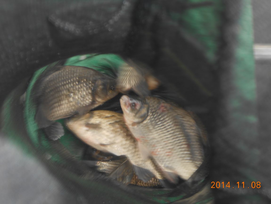 DSCN2684.JPG