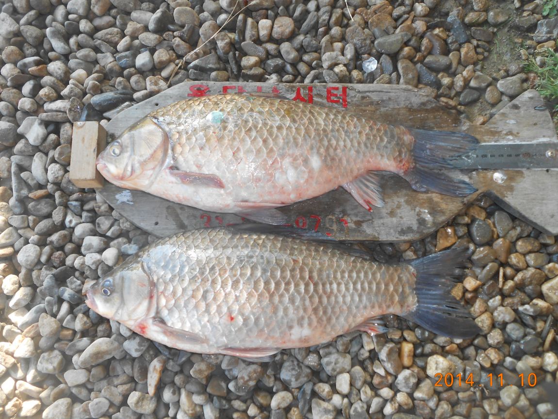 DSCN2694.JPG