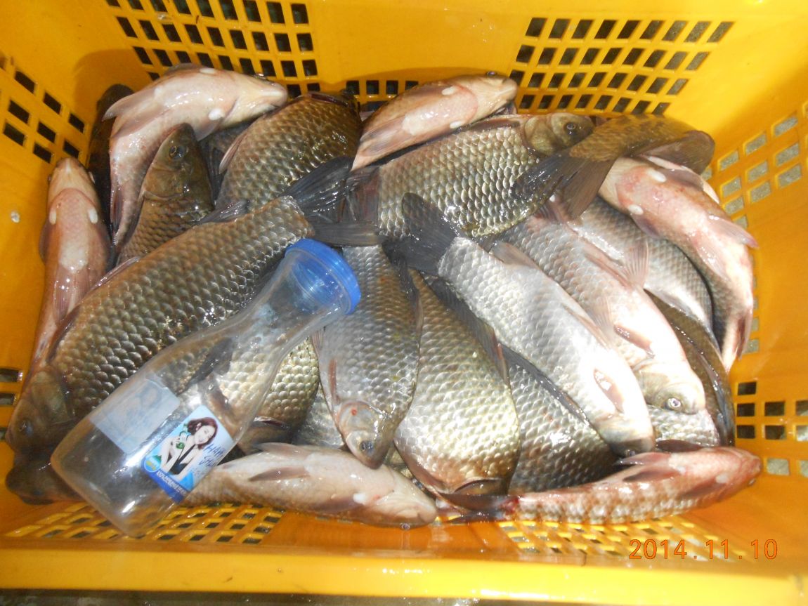 DSCN2709.JPG