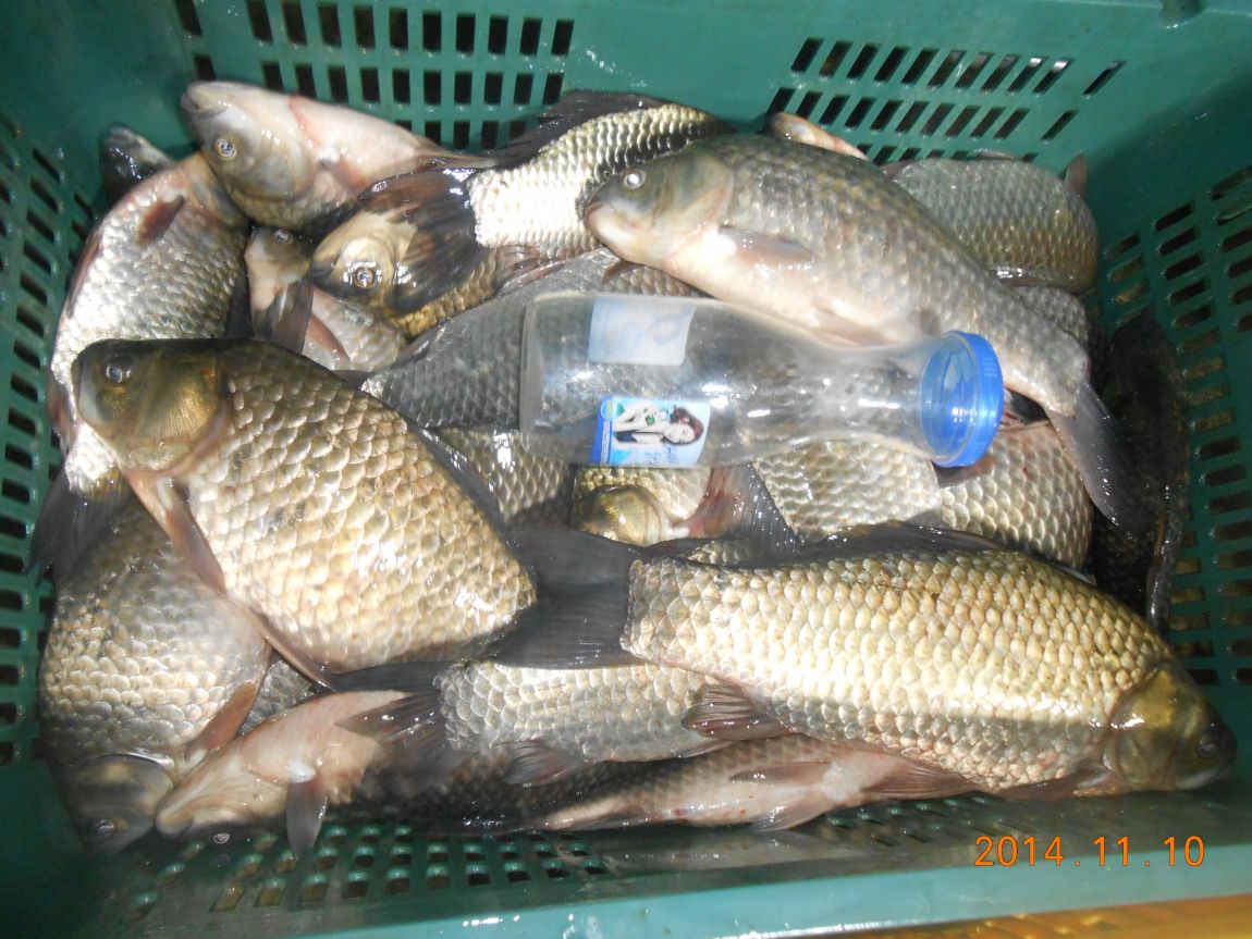 DSCN2710.JPG