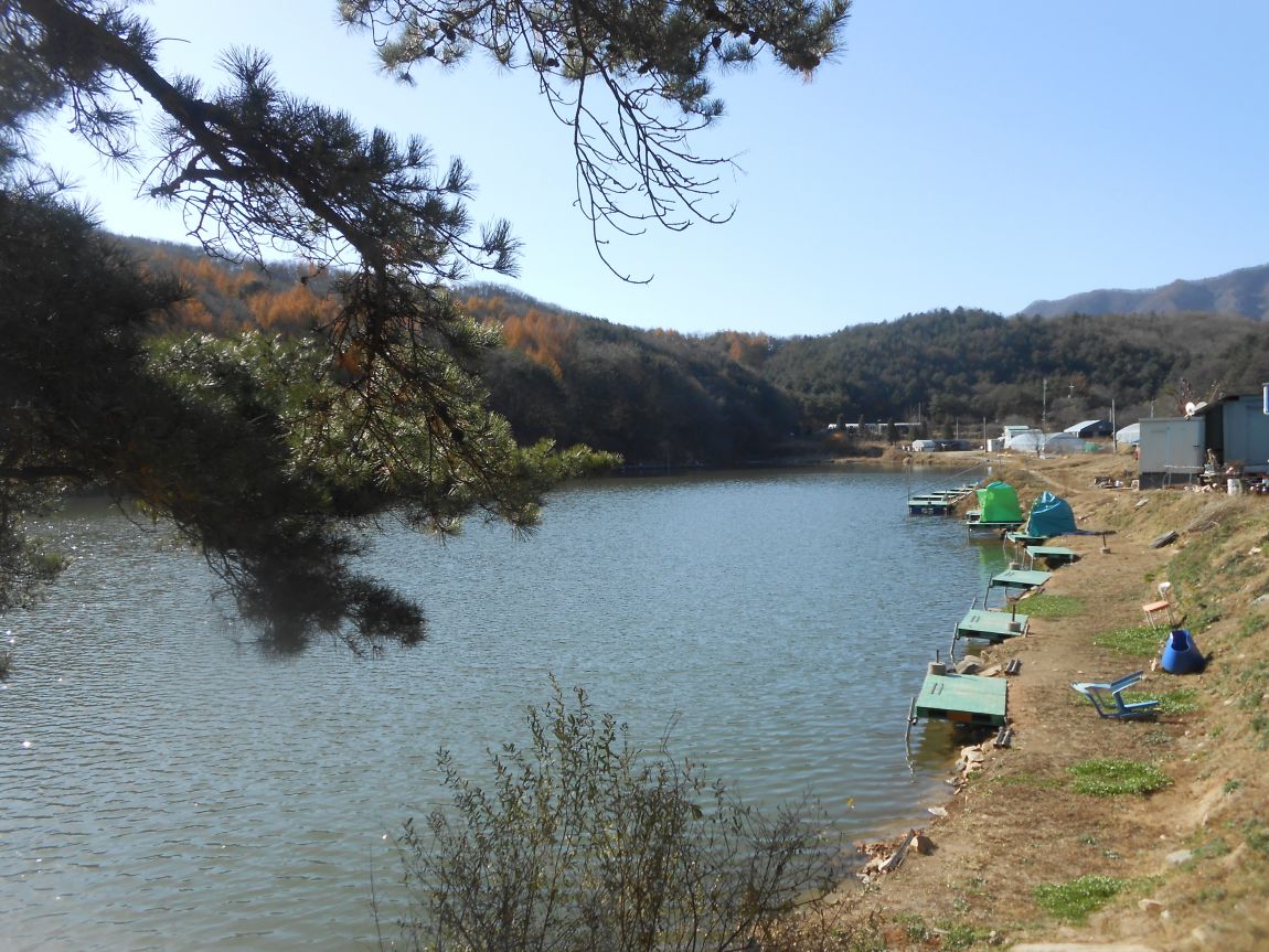 DSCN2722.JPG