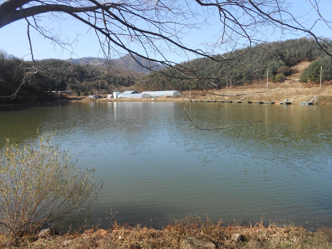 DSCN2723.JPG