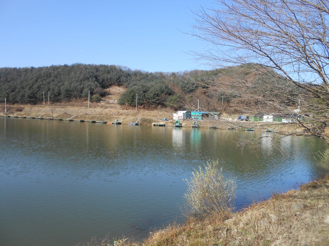 DSCN2725.JPG