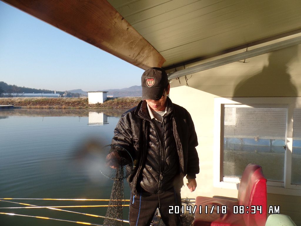 SAM_3004.JPG