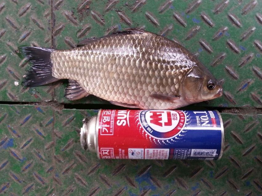 20141117_105109.jpg