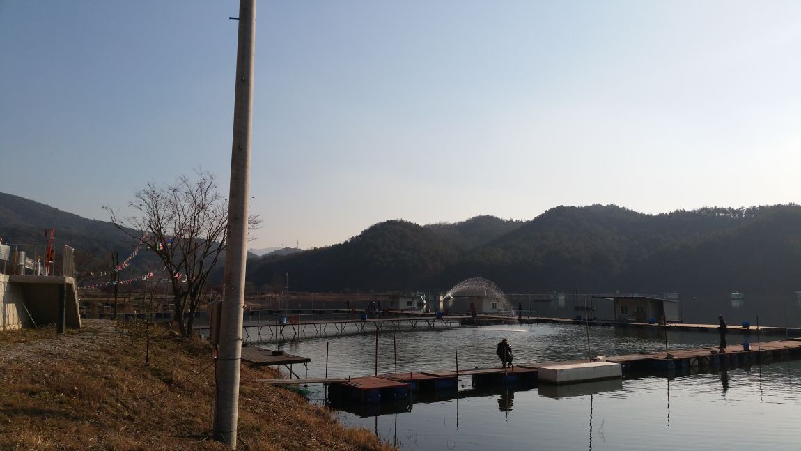 20141118_150500.jpg