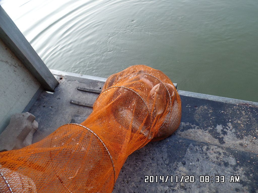SAM_3028.JPG