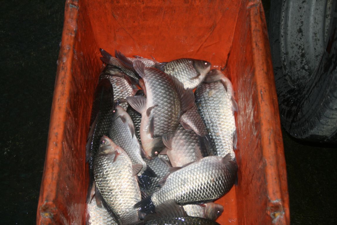 IMG_1780.JPG