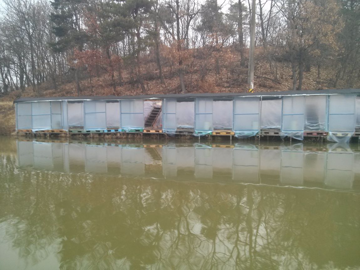 CAM03670.jpg