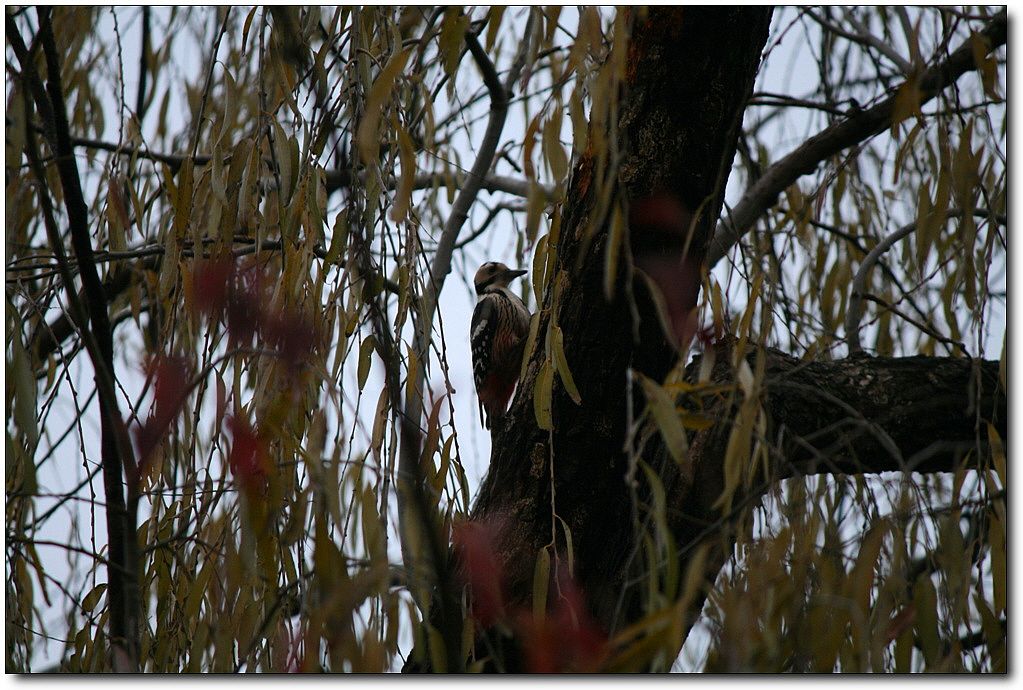 7�������� 15034.jpg