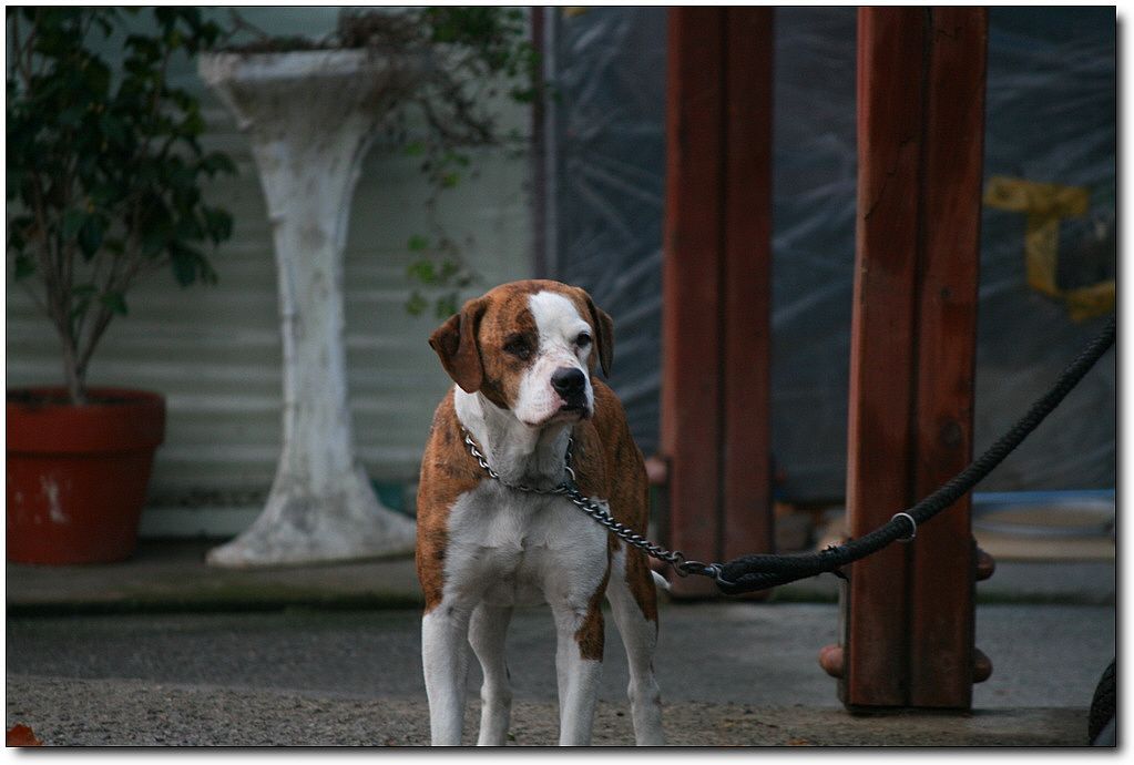 7�������� 15064.jpg