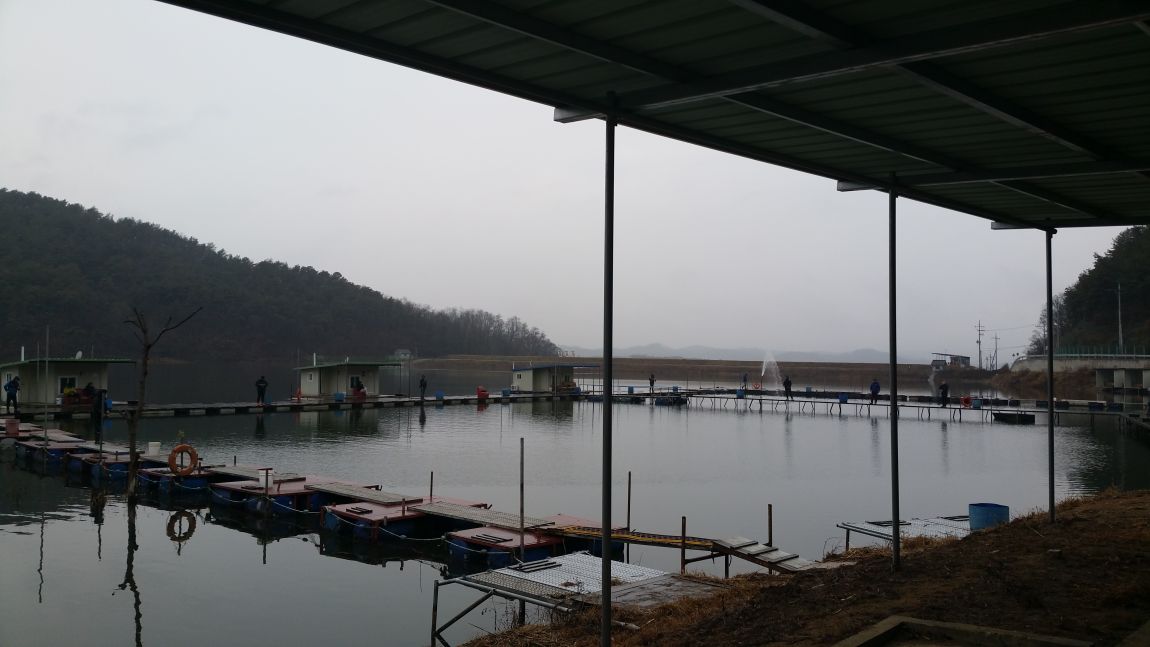 20141130_145625.jpg