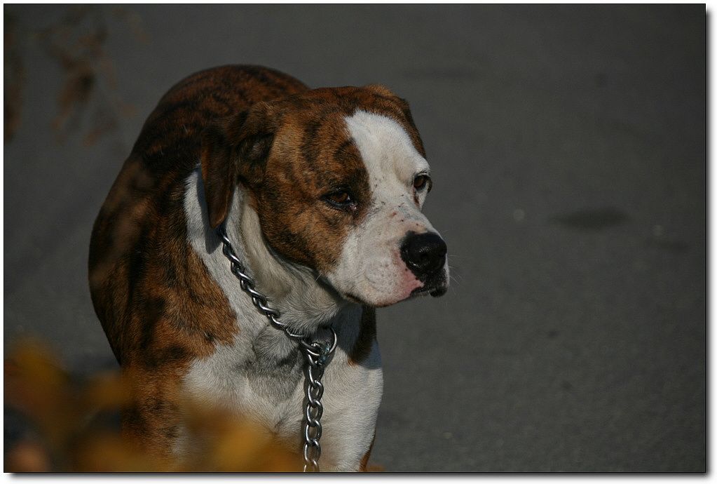 7�������� 15443.jpg