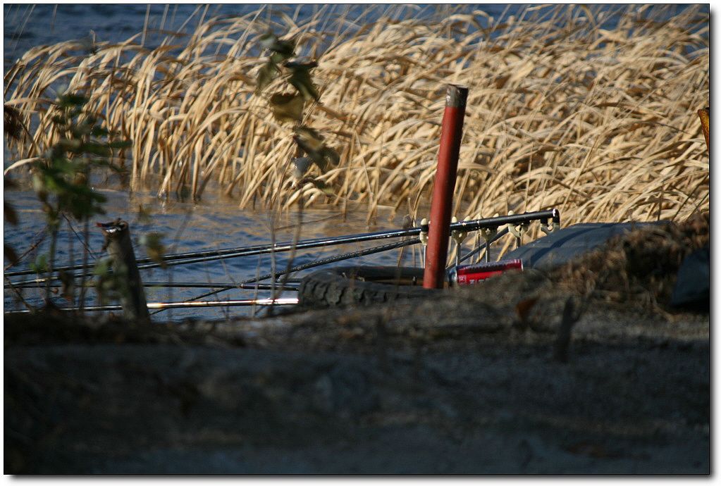 7�������� 15448.jpg