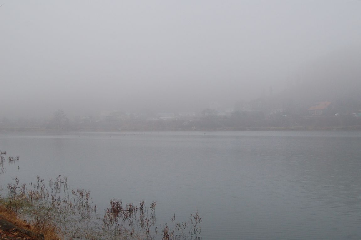 DSC_0023.JPG