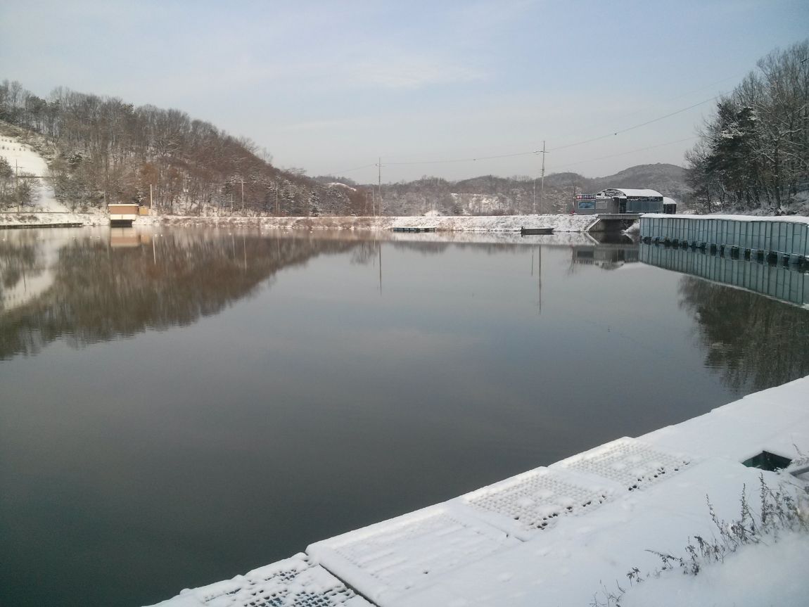 CAM03691.jpg