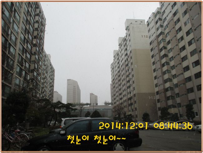 �ٹ̱�_IMG_0170.JPG