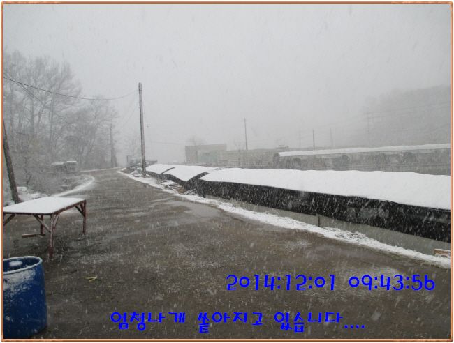 �ٹ̱�_IMG_0174.JPG