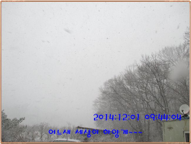 �ٹ̱�_IMG_0175.JPG