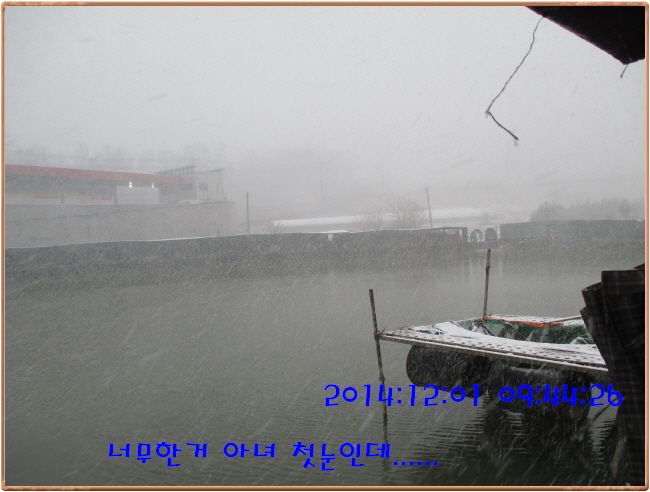 �ٹ̱�_IMG_0176.JPG