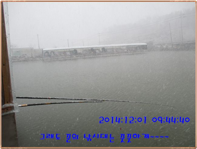 �ٹ̱�_IMG_0177.JPG