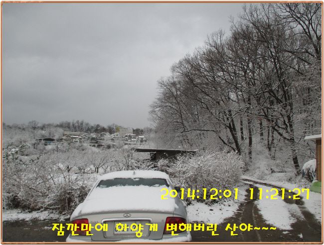 �ٹ̱�_IMG_0178.JPG
