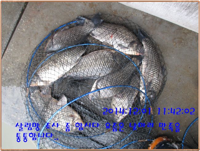 �ٹ̱�_IMG_0180.JPG