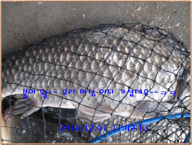 �ٹ̱�_IMG_0183.JPG