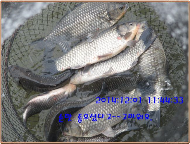 �ٹ̱�_IMG_0184.JPG