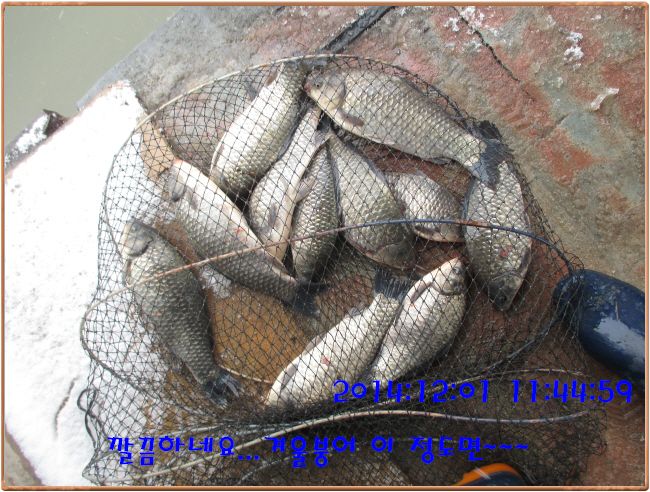 �ٹ̱�_IMG_0185.JPG
