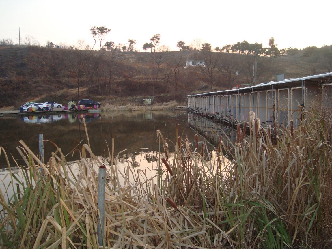 2014-12-1 017.JPG