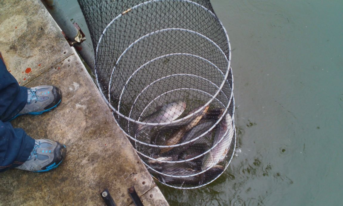 IMG_20141130_095019.jpg