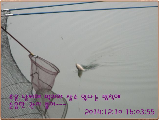 �ٹ̱�_IMG_0204.JPG