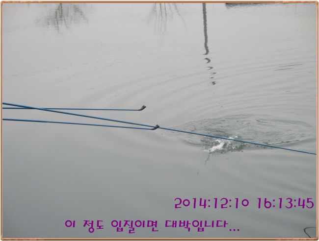 �ٹ̱�_IMG_0205.JPG