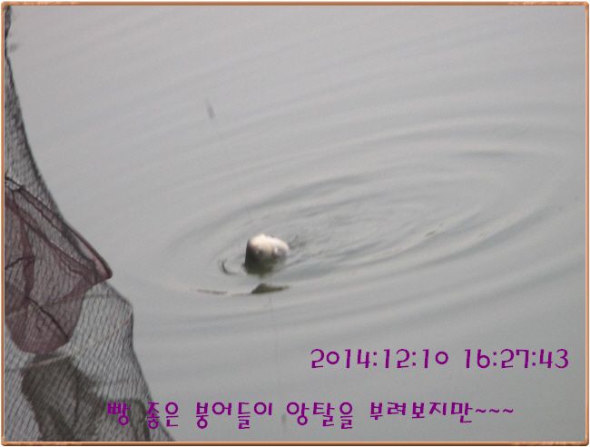 �ٹ̱�_IMG_0207.JPG
