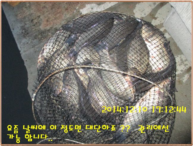 �ٹ̱�_IMG_0210.JPG