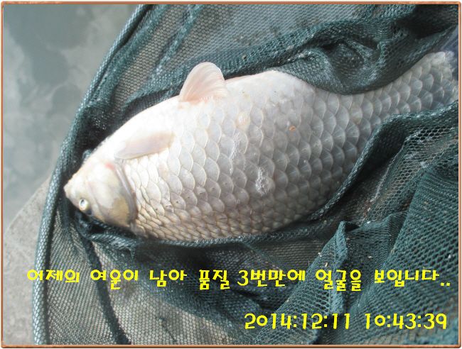 �ٹ̱�_IMG_0212.JPG