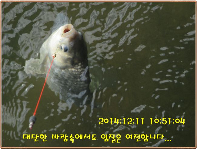 �ٹ̱�_IMG_0213.JPG
