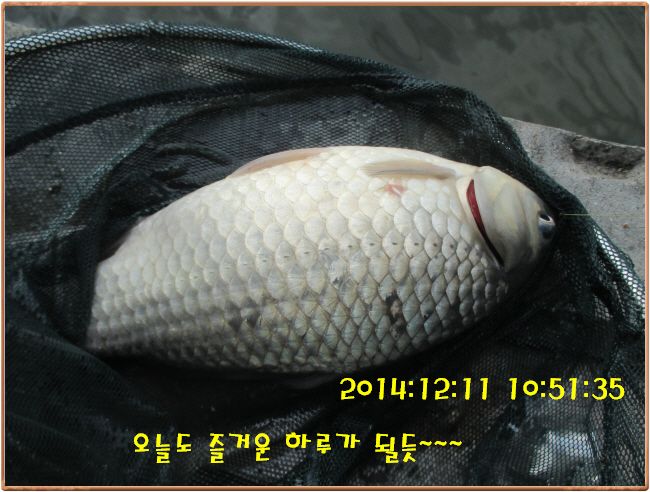 �ٹ̱�_IMG_0214.JPG