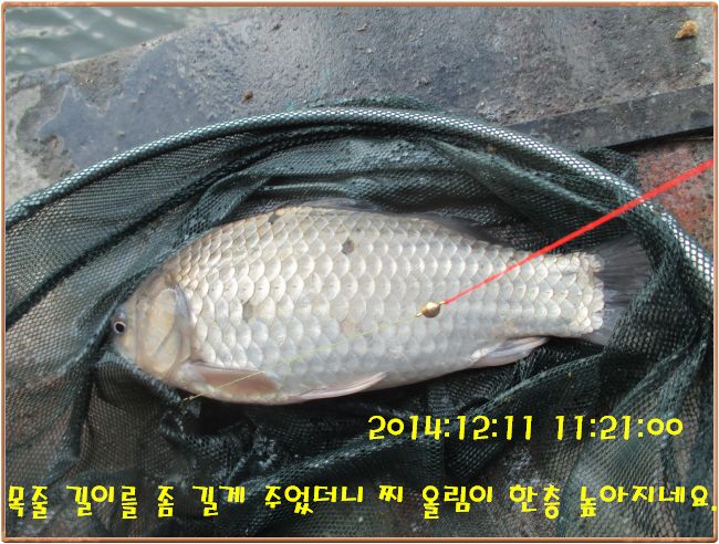 �ٹ̱�_IMG_0216.JPG