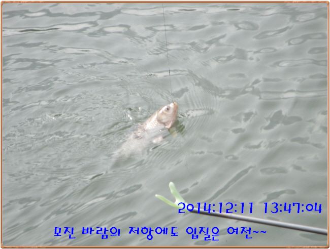 �ٹ̱�_IMG_0218.JPG