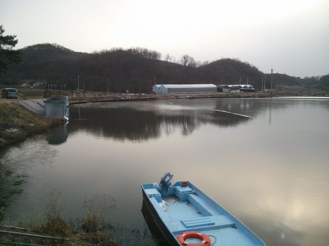CAM03715.jpg