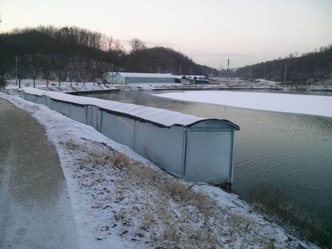 CAM03722.jpg