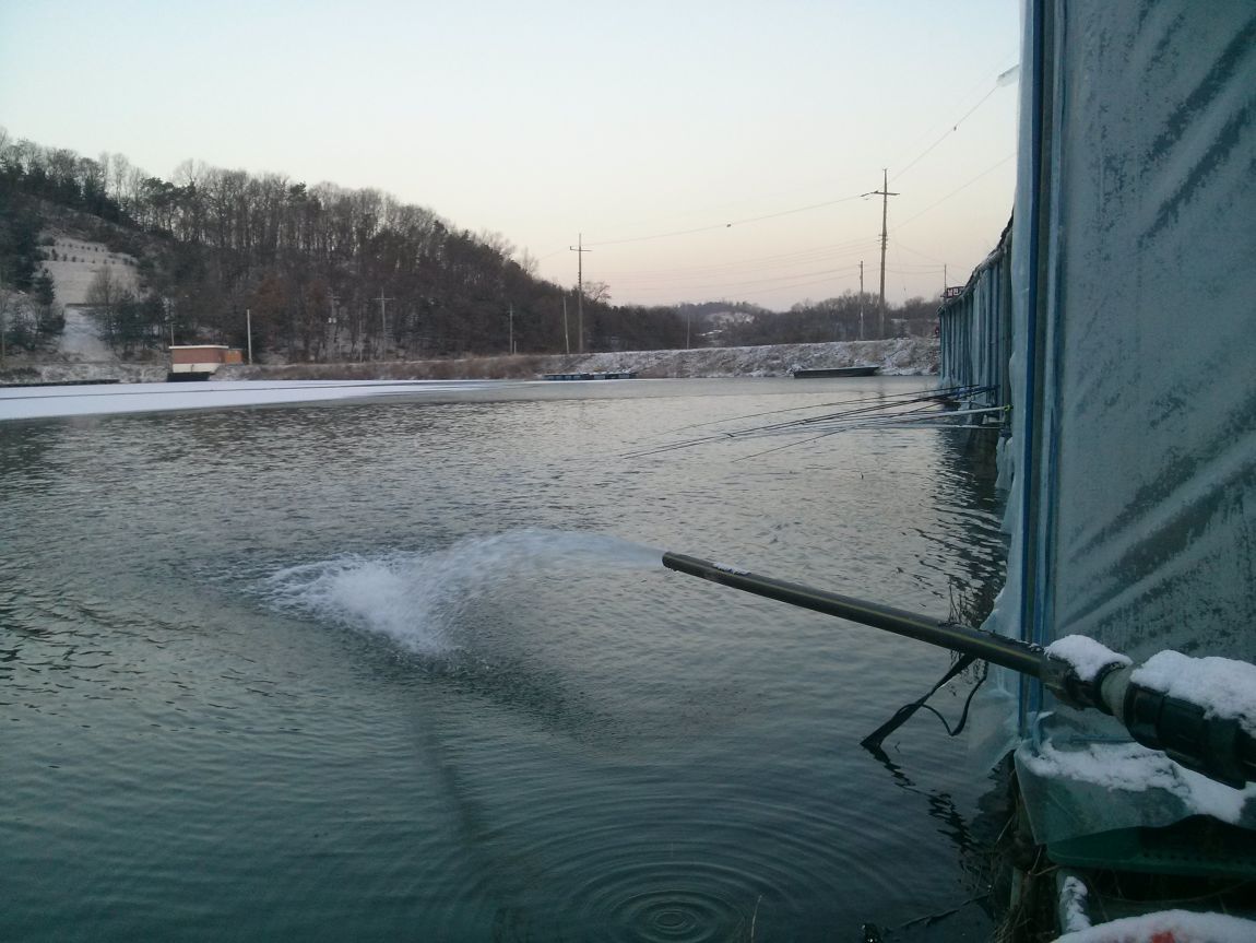 CAM03724.jpg