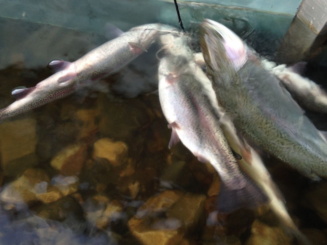 ���� 003.jpg