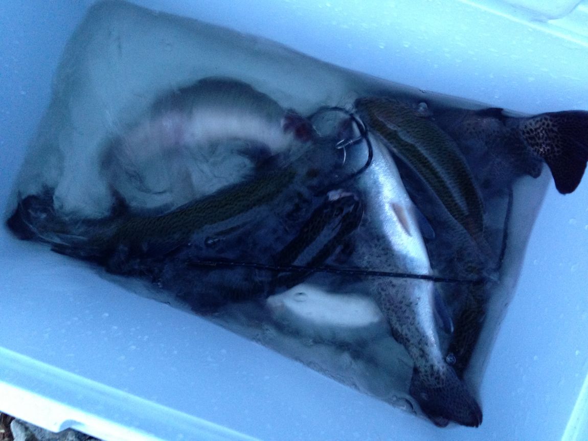 ���� 007.jpg